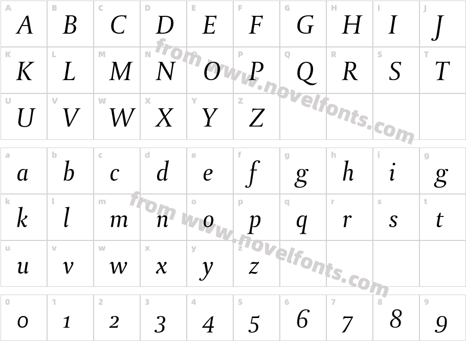 DTLParadoxST-ItalicCharacter Map