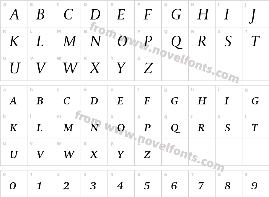 DTLParadoxTCaps-ItalicCharacter Map