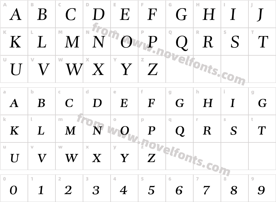 DTLUnicoT-CapsItalicCharacter Map