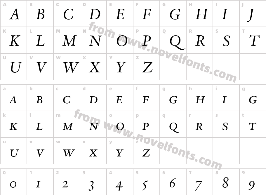 DTLVandenKeereD-CapsItalicCharacter Map