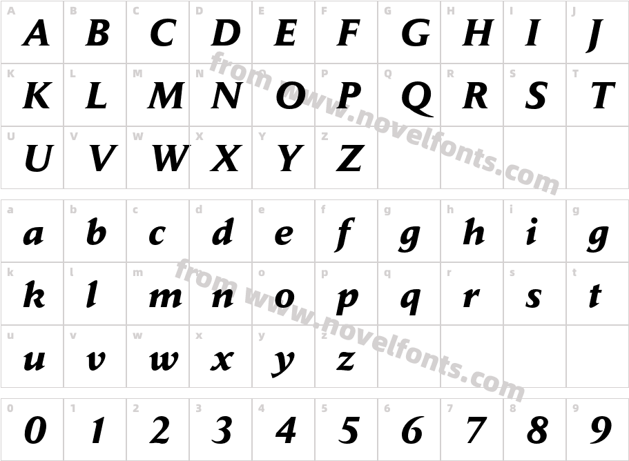 DailyNews-BoldItalicCharacter Map