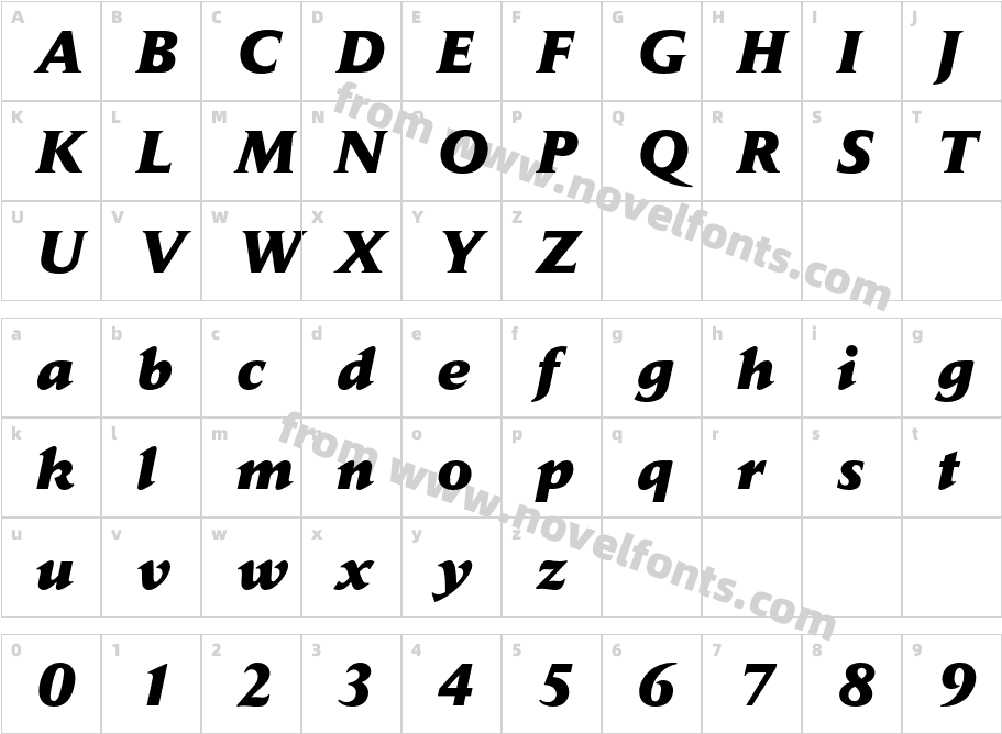 DailyNews-ExtraBoldItalicCharacter Map