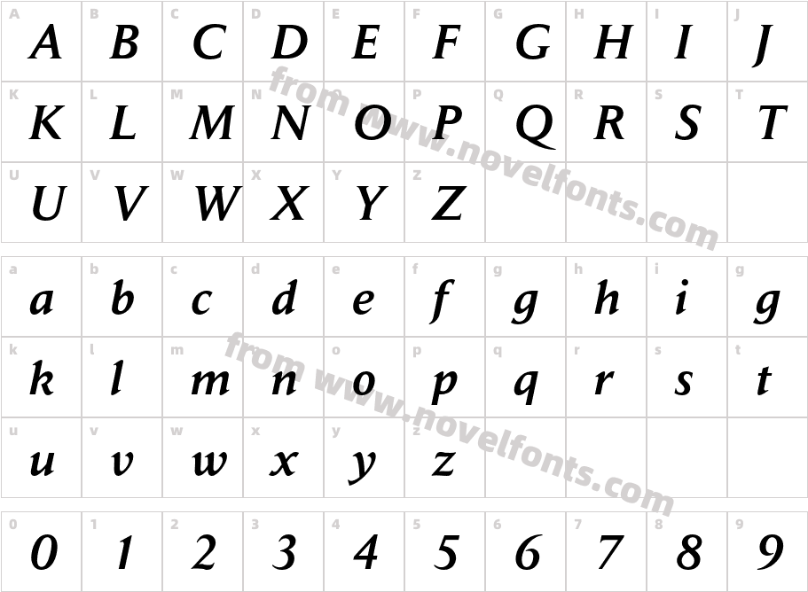 DailyNews-MediumItalicCharacter Map