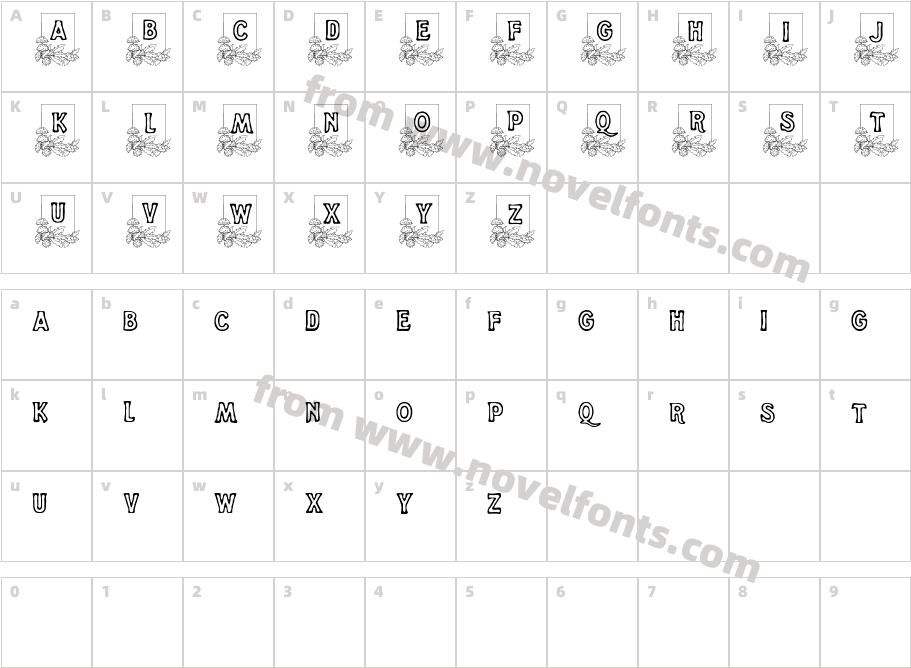 DandelionCharacter Map