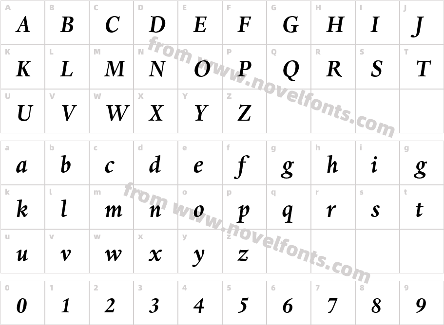 DanteMT-BoldItalicCharacter Map