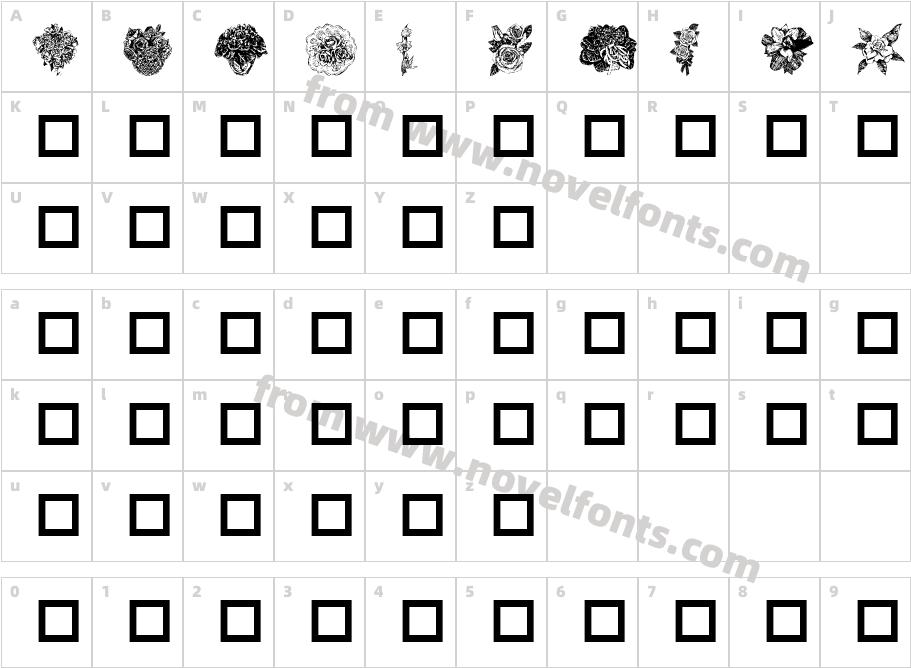 Destinys FlowersCharacter Map