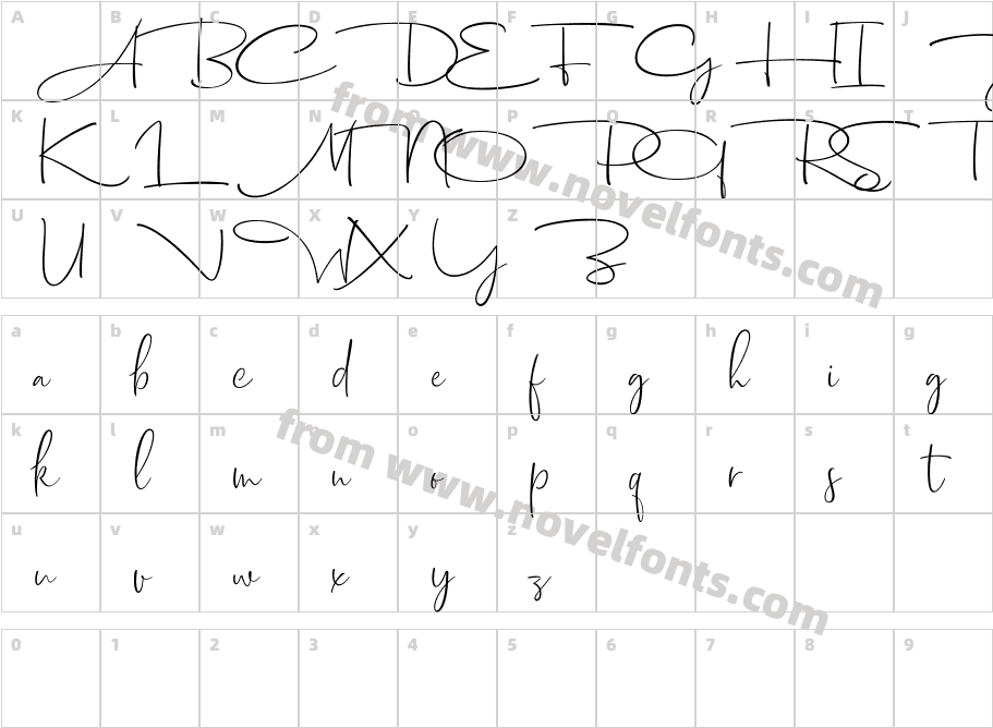 Dhanikans Signature 2 RegularCharacter Map