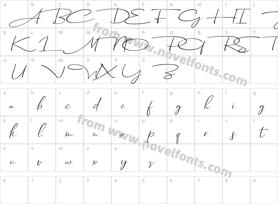 Dhanikans Signature Italic ItalicCharacter Map