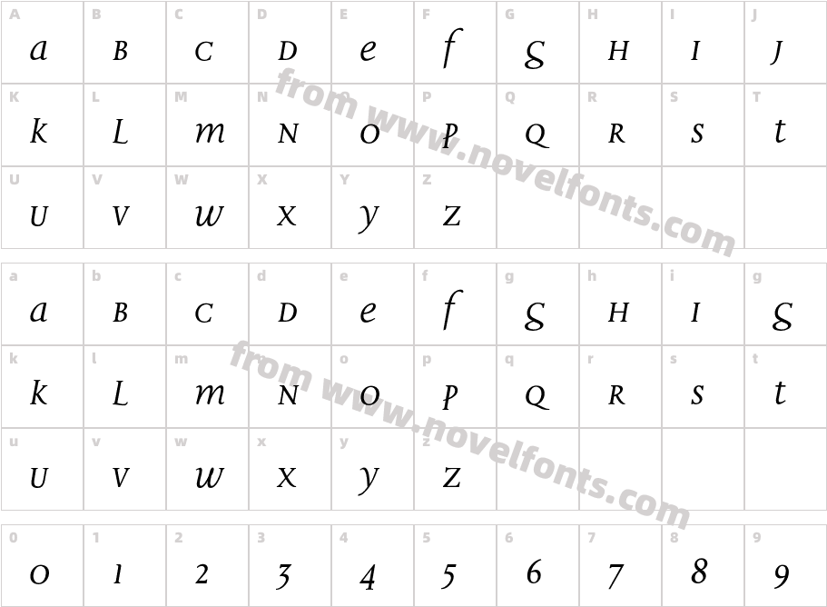 Disturbance-ItalicCharacter Map