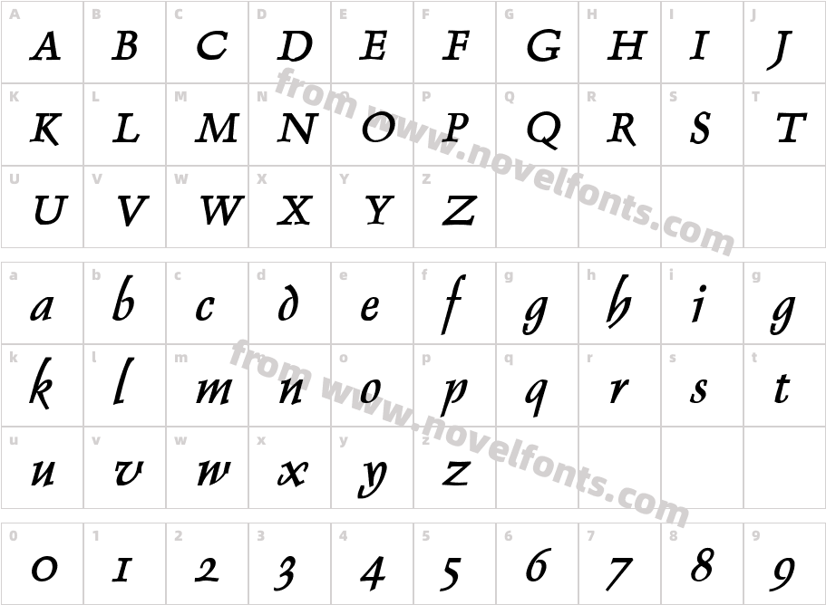 Dolphin Bold ItalicCharacter Map