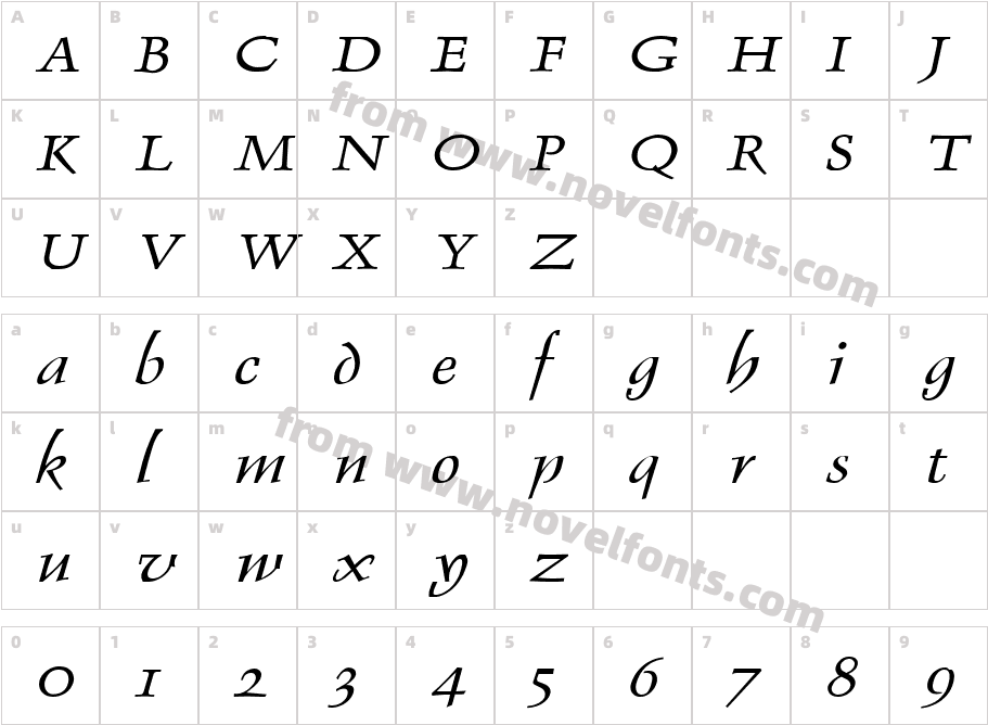 Dolphin Wide ItalicCharacter Map