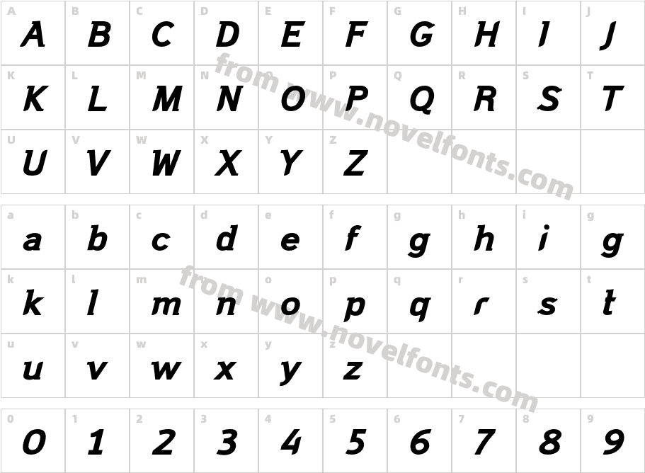 DomestosSerif-BlackItalicCharacter Map