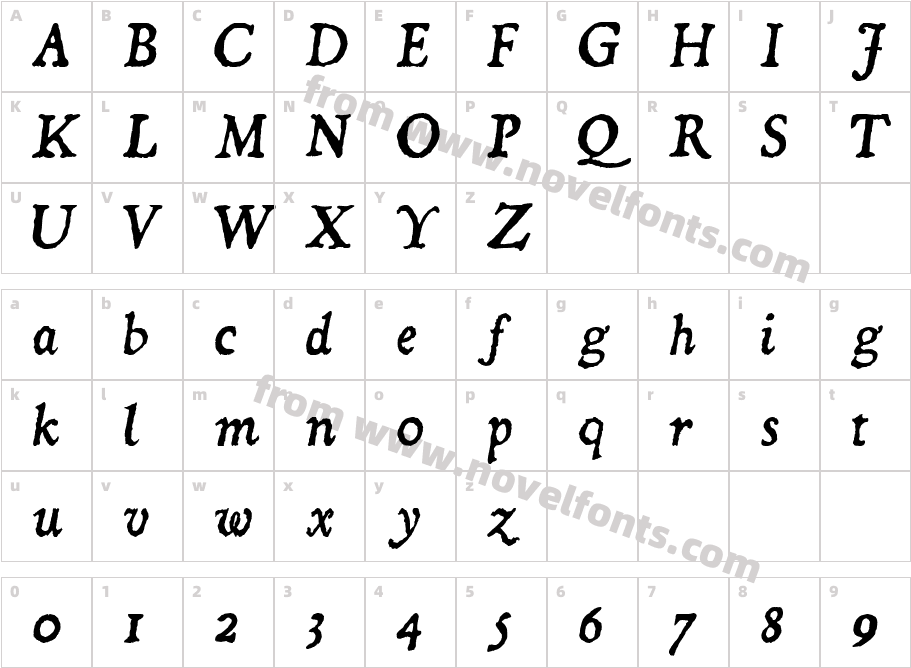 Dominican ItalicCharacter Map