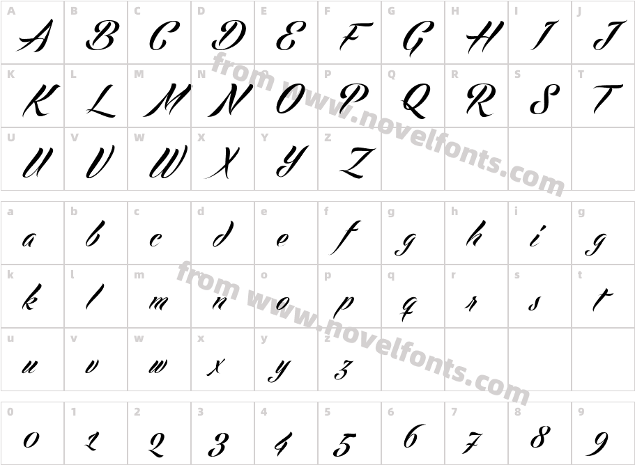 Echinos Park Script - PERSONAL USE ONLYCharacter Map