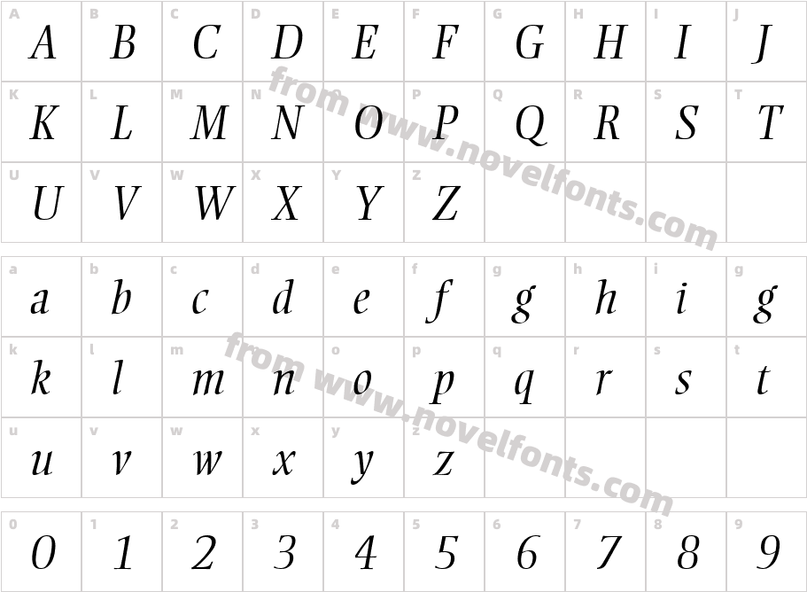 Ellington MT Light ItalicCharacter Map