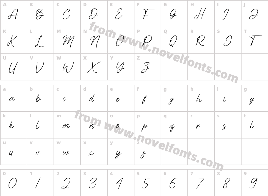 Cinthya AmyCharacter Map