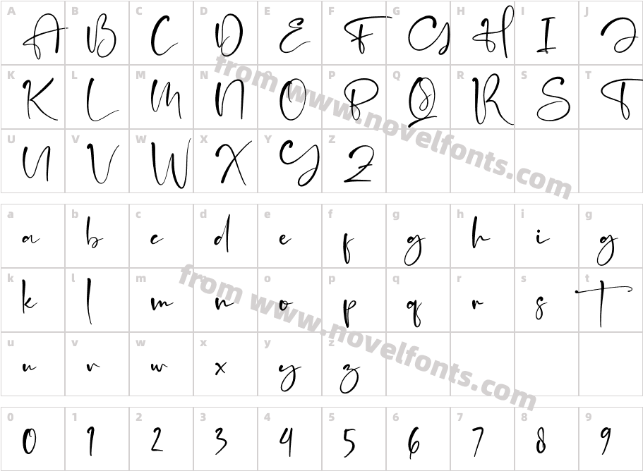 Flash LightCharacter Map