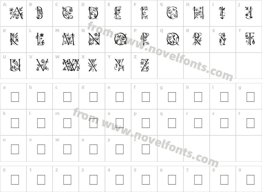 FleurDisplayCapsSSi MediumCharacter Map