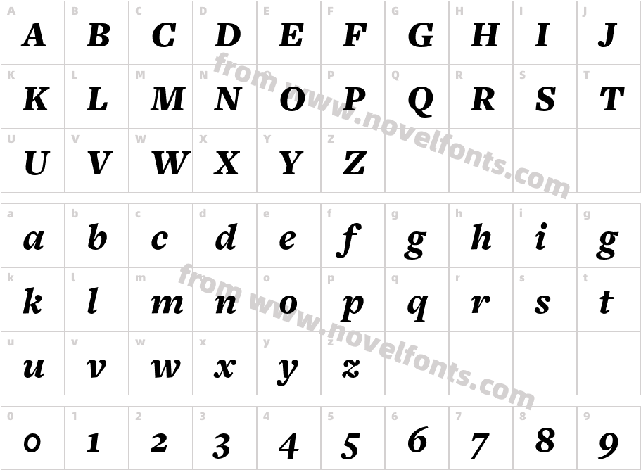 FreightText BlackItalicCharacter Map