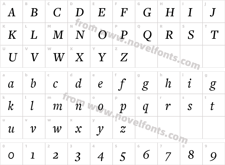 FreightText MediumItalicCharacter Map