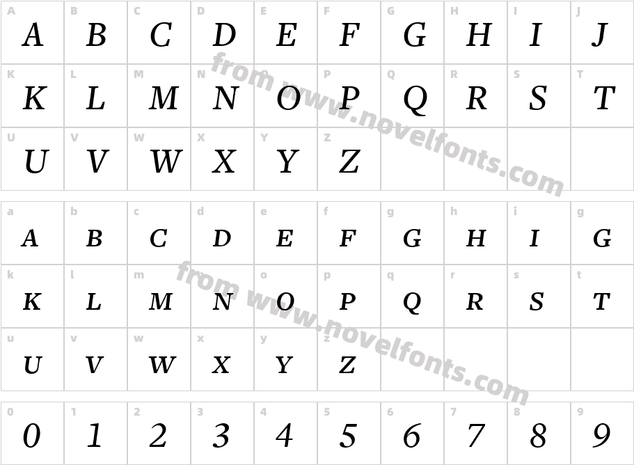 FreightText MediumItalicSCCharacter Map