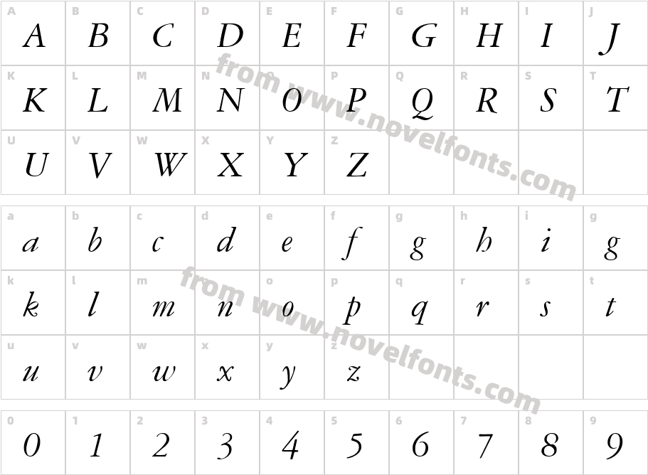 Garamond Reprise SSi ItalicCharacter Map