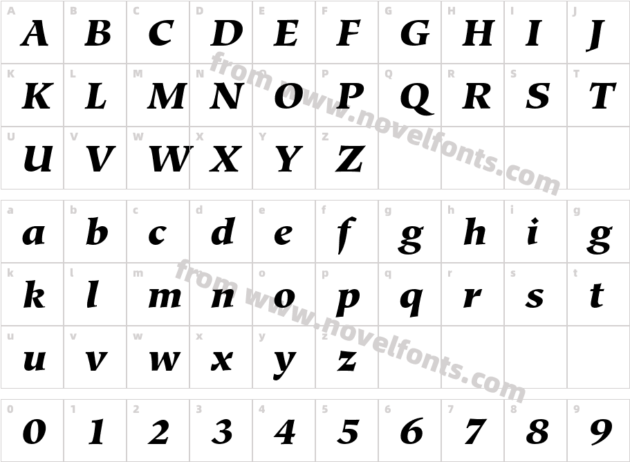 Glossary Black SSi Black ItalicCharacter Map