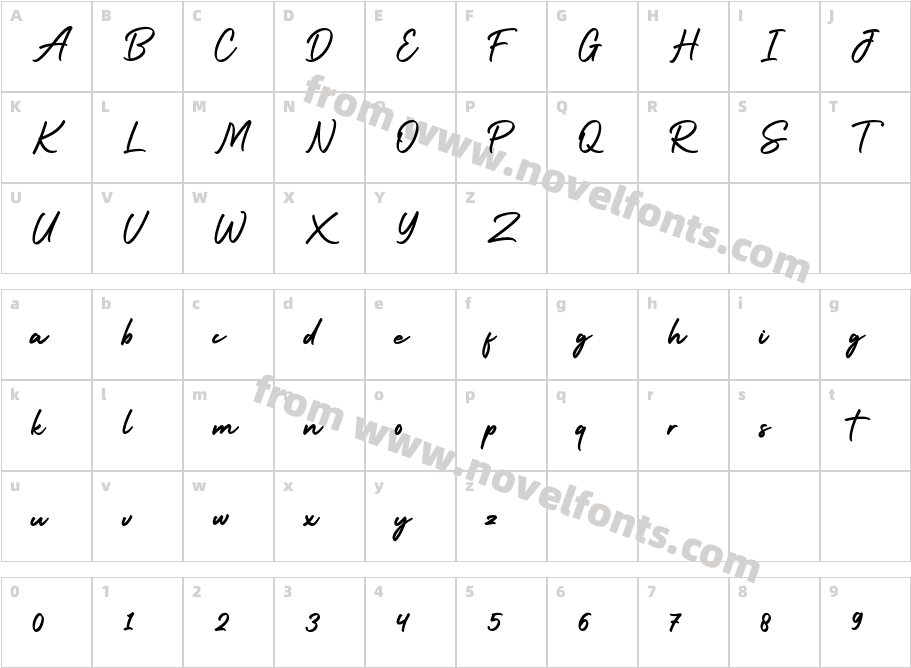 Holiday New StyleCharacter Map