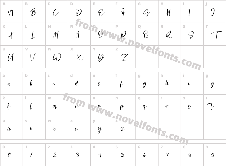 Honney BabyCharacter Map