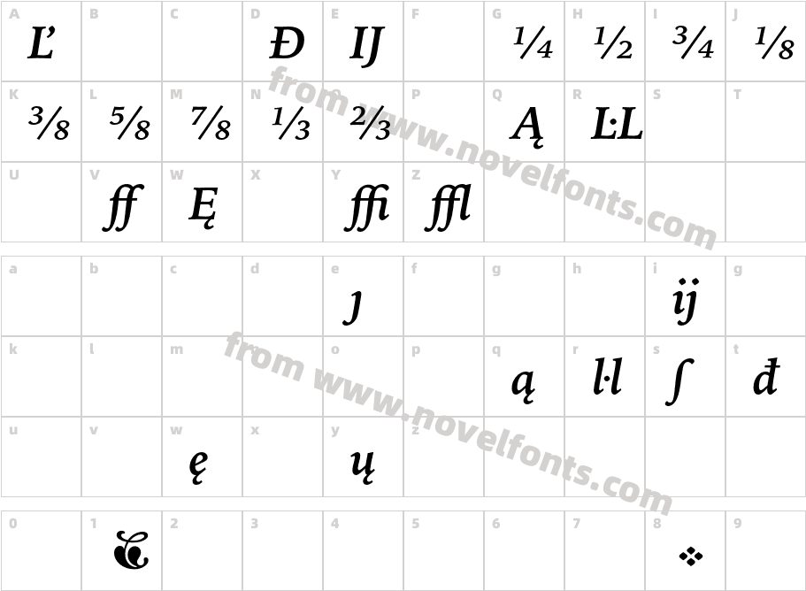 IowanOldStyleBT-BoldItExtensionCharacter Map