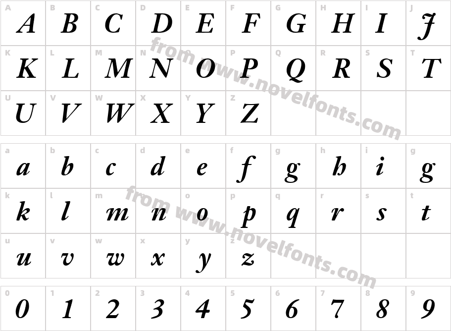 JansonSSK BoldItalicCharacter Map