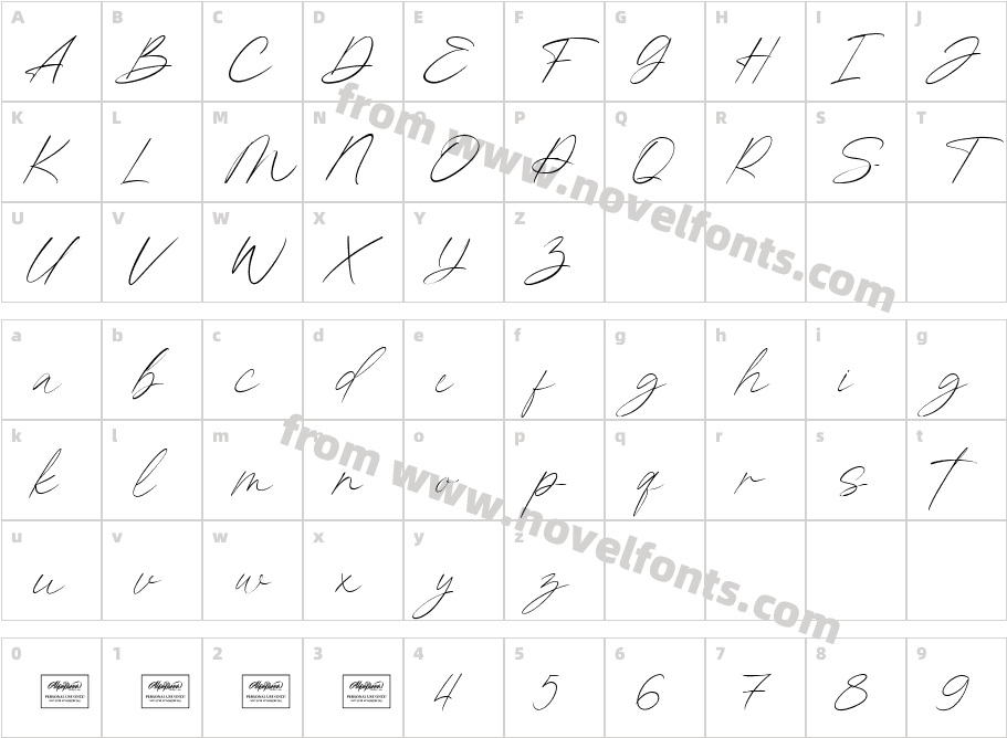 Kingston SignatureCharacter Map