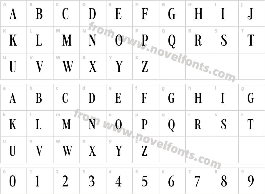 LT Carpet MediumCharacter Map