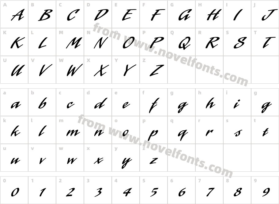 LaserICGCharacter Map