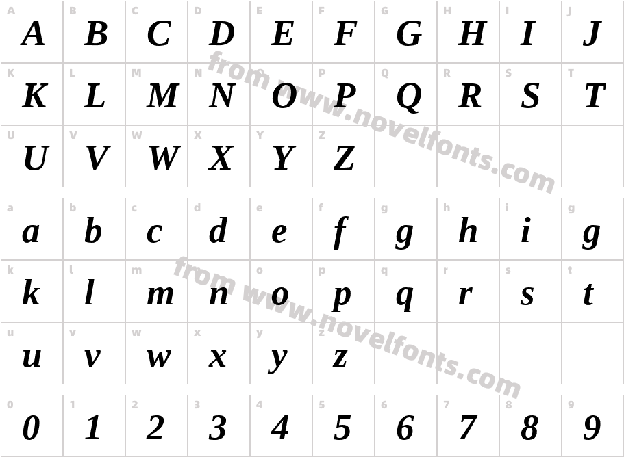 Liberation Serif Bold ItalicCharacter Map