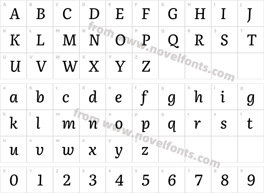 Literata Medium ItalicCharacter Map