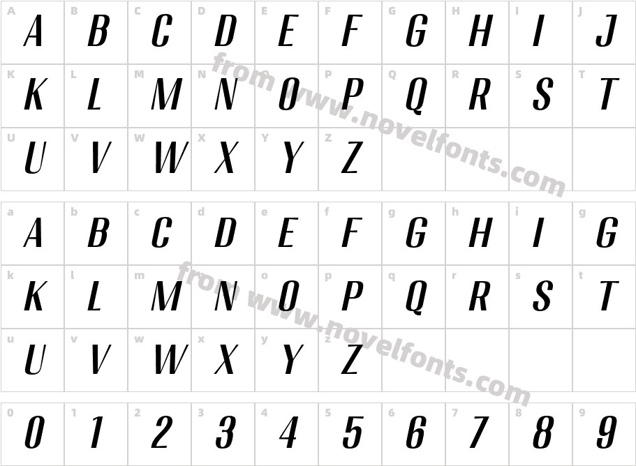 Migha-MediumCNTRSlantCharacter Map