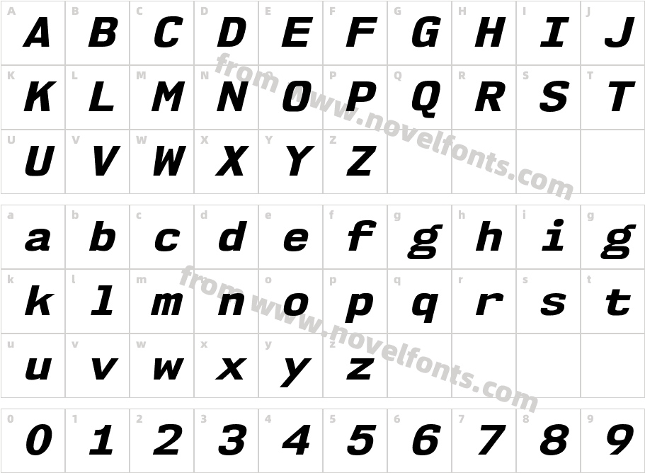 NK57MonospaceSeEb-ItalicCharacter Map