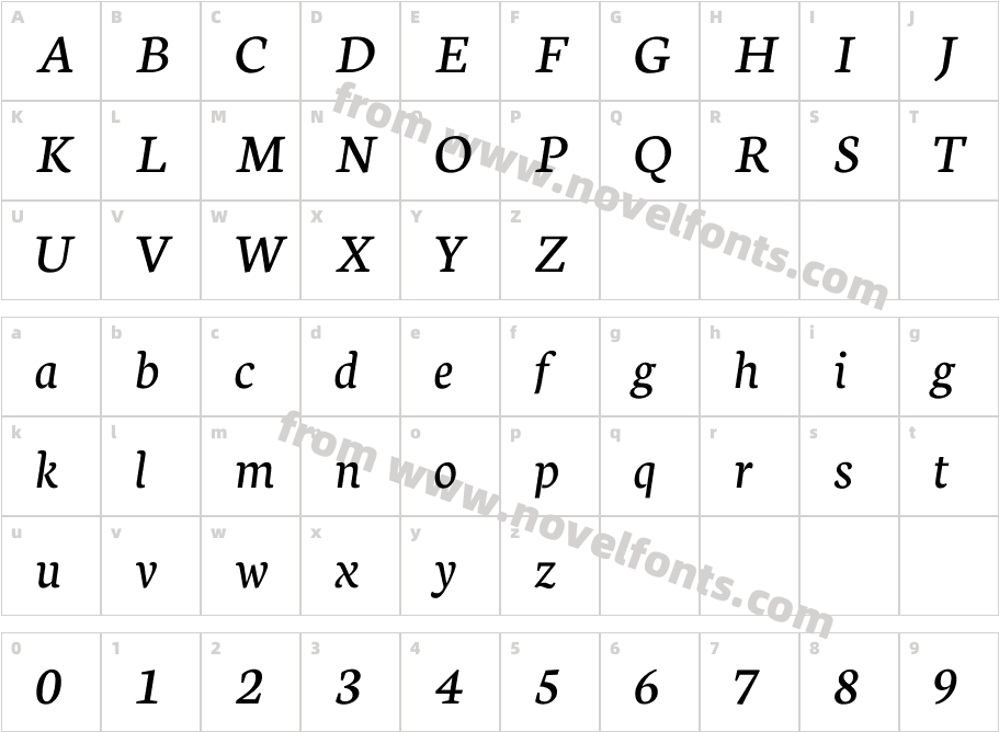 Neuton ItalicCharacter Map