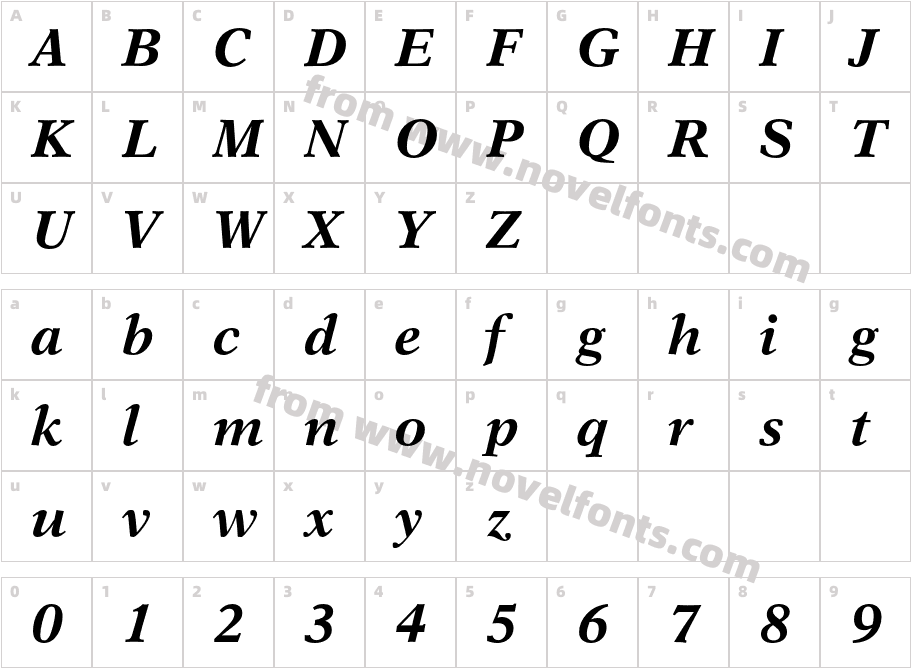 NewAster-BoldItalicCharacter Map