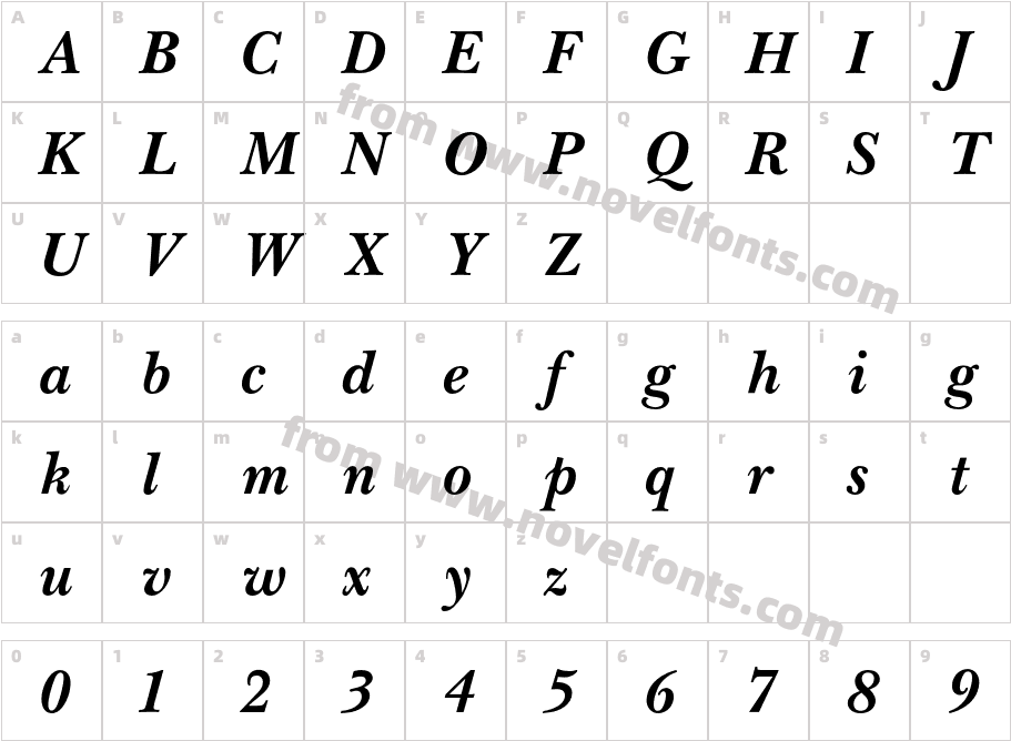 NewBaskervilleBoldItalicCharacter Map