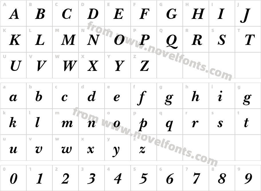 NewBaskervilleEF-BoldItalicCharacter Map