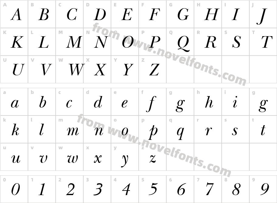 NewBaskervilleItalicCharacter Map