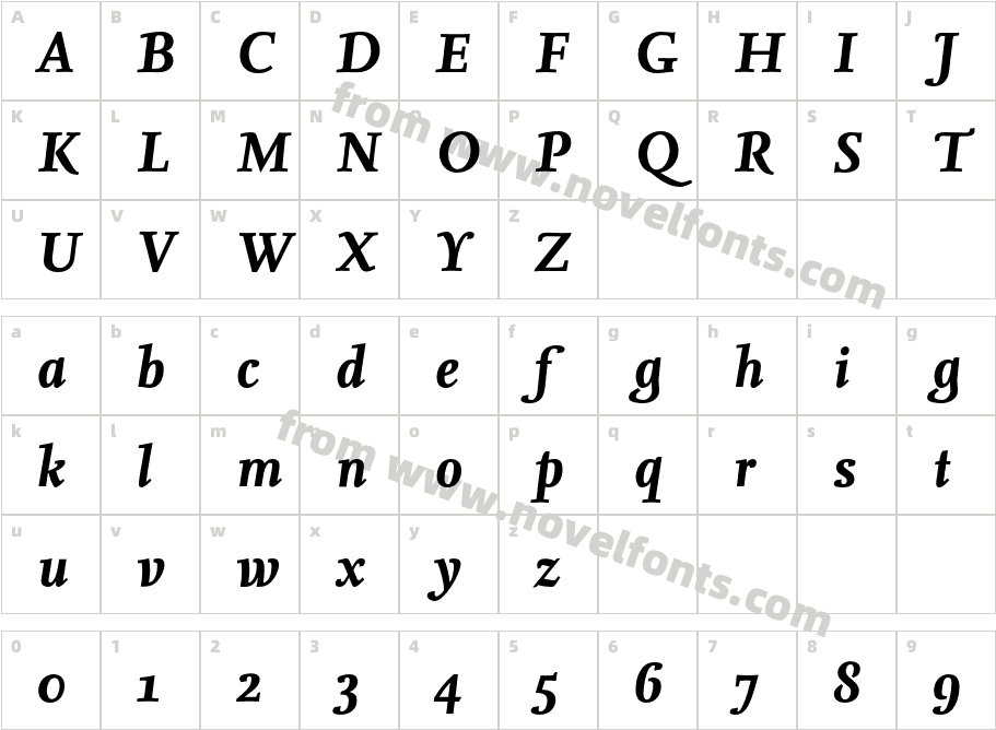 NexusSerif-BoldItalicCharacter Map