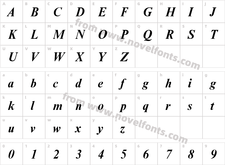 NimbusRomD Bold ItalicCharacter Map