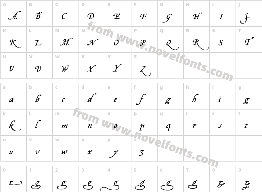 OpsmarcktAlternativeCharacter Map