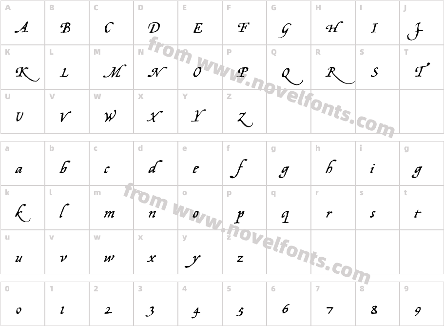 OpsmarcktBasicCharacter Map