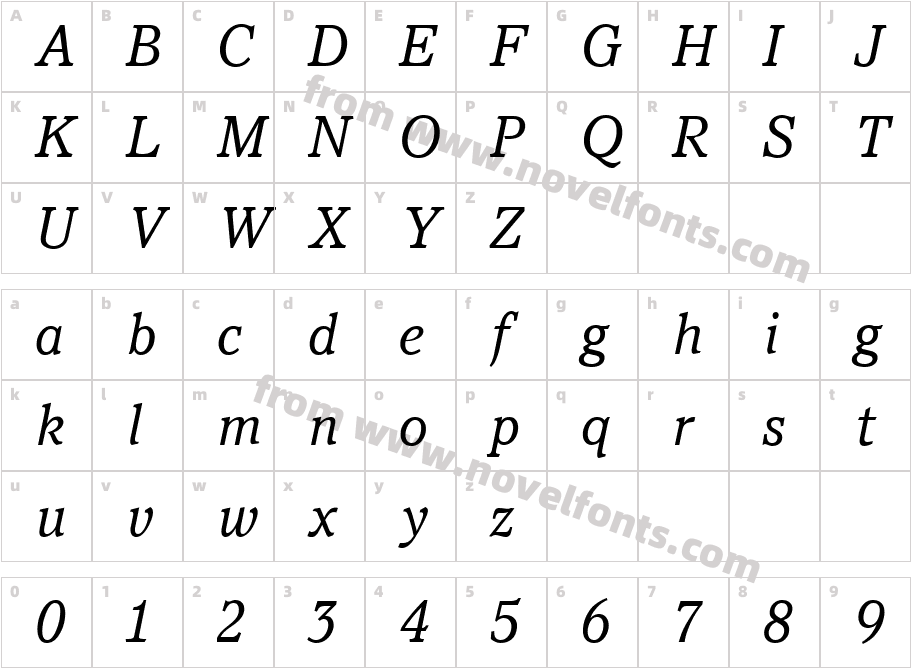 PacellaBookItalicCharacter Map