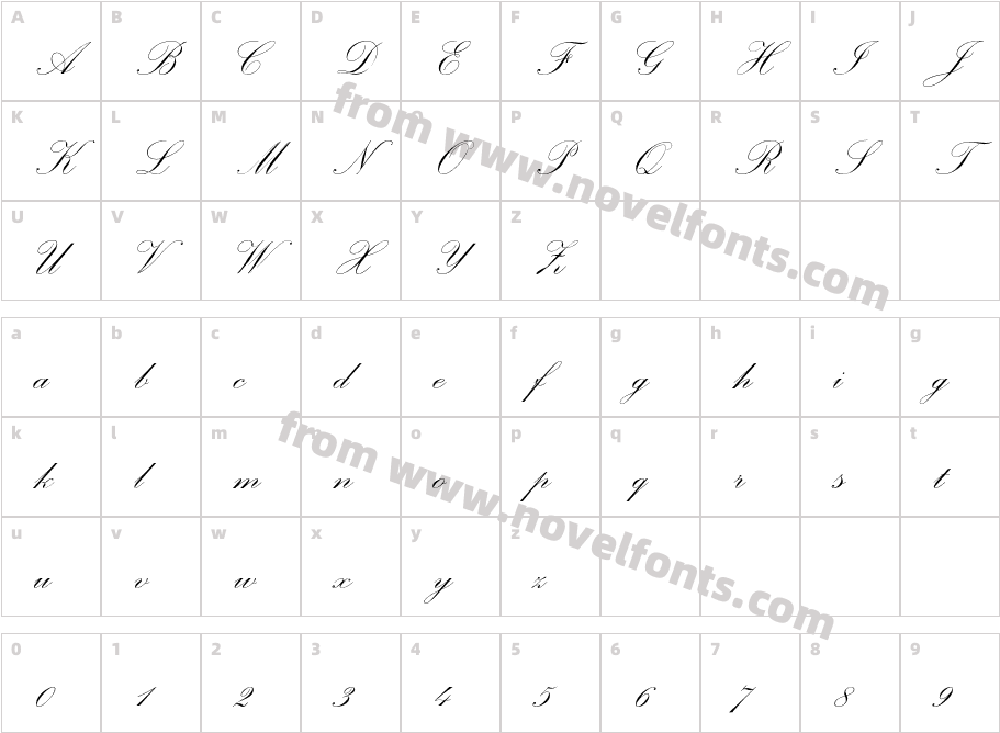 PalaceScriptMTStdCharacter Map