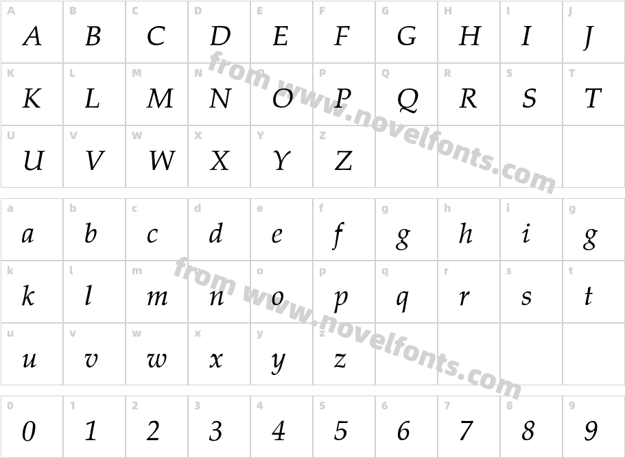 Palatino-Thin-ItalicCharacter Map